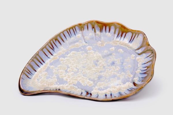 Oyster Medium Plate in Abalone & Tortoise