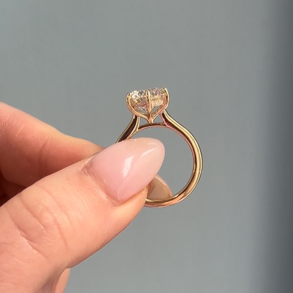 She Said Yes in Martha's Vineyard
