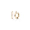 Small Clara Hoops in 18K Yellow Gold