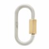 Regular Lock in Silver with Gold Closure