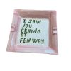 "I Saw You Crying at Fenway" - Ashtray