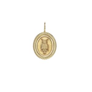 Twisted Gold Frame Owl Charm