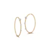Small Penelope Plie Hoops in 18K Yellow Gold