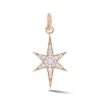 Diamond Stella Charm